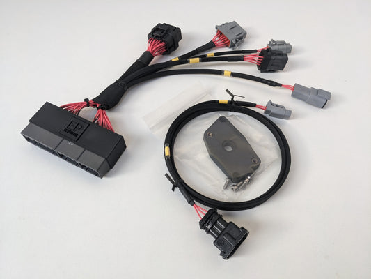 EP91 4E-FTE Starlet Patch Loom / Harness - Link ECU AtomX / MonsoonX-EP Wiring-EP Wiring