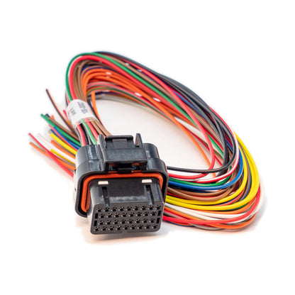 Link ECU A Loom (400mm) - (0LA)-EP Wiring-EP Wiring