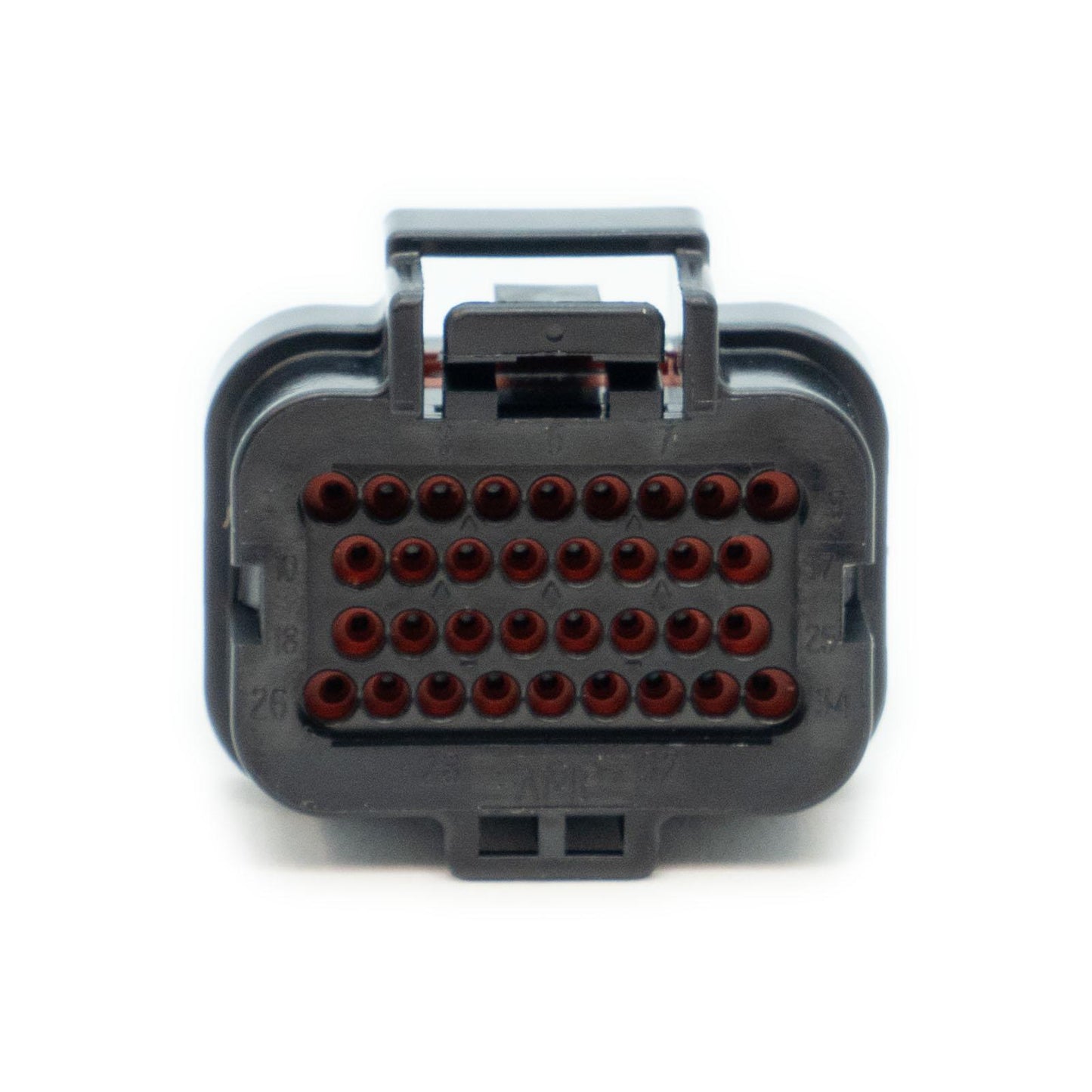 Link ECU B Loom (5m) - (5LB)-EP Wiring-EP Wiring