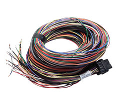 Link ECU B Loom (5m) - (5LB)