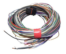 Link ECU Loom B (2.5m) - WireIn ECUs (not required for Atom or Monsoon)